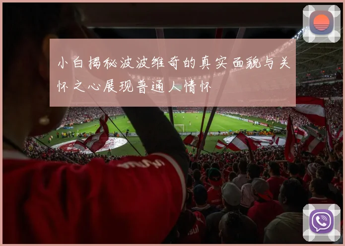 小白揭秘波波维奇的真实面貌与关怀之心展现普通人情怀