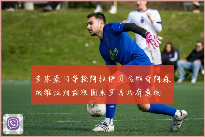 多家豪门争抢阿拉伊贝戈维奇阿森纳维拉利兹联国米罗马均有意向